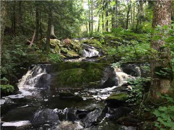 PLEASE HELP SUPPORT THIS CAUSE FOR EARTH DAY 2018 – Northwood Alliance Wildcat Falls: A Community Forest Concept